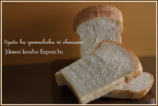 Espoir3n自家製酵母パン  レッスンのお申し込み_c0162653_1359450.jpg