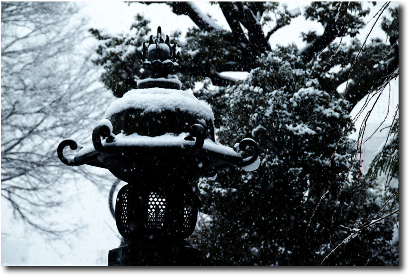 正光寺の雪景色_f0169857_11491412.jpg