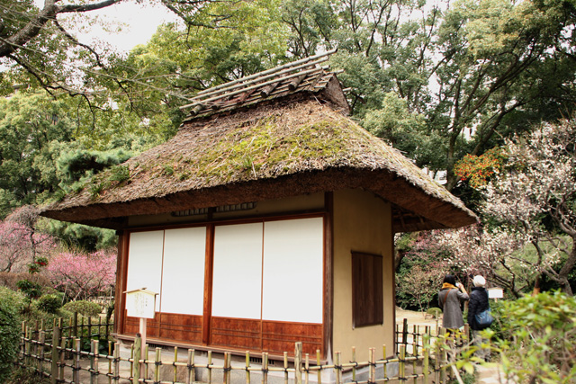 f0147858_1220812.jpg