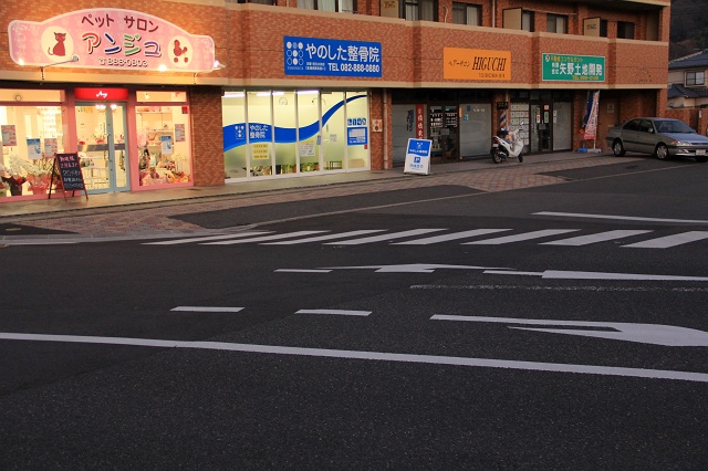 b0095061_10103499.jpg