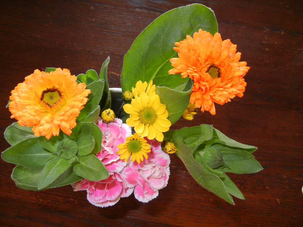 f0060461_13572395.jpg