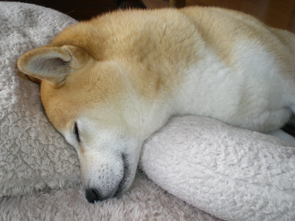 f0060461_161641.jpg