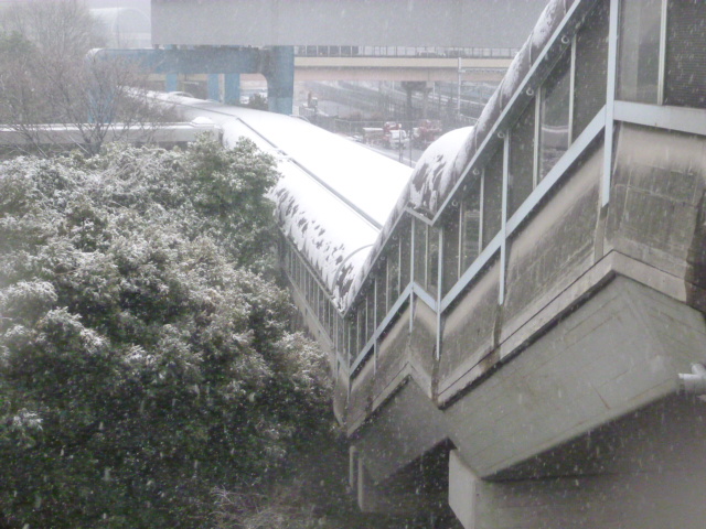 c0100865_634827.jpg