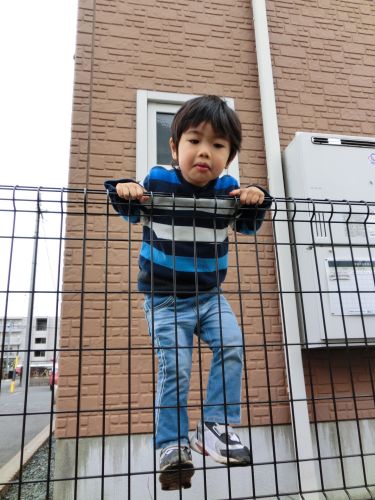 ちょんちょこりん maruko日記 ちび丸成長記録 ちょんちょこりん maruko日記 ちび丸成長記録
