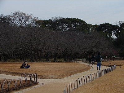3月1日　【弥生　3月】_a0185880_17324351.jpg
