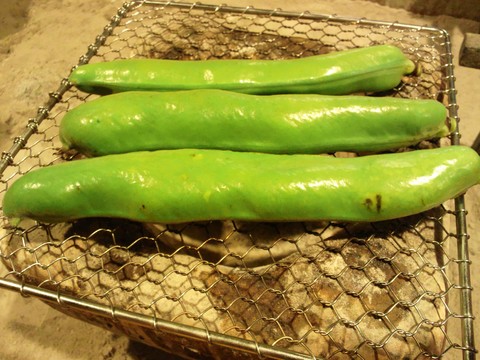 b0162386_1353576.jpg