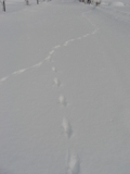 b0231886_11401741.jpg