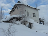 b0231886_948535.jpg