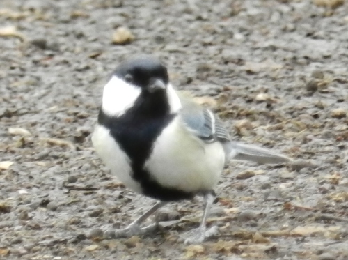 f0216489_9181445.jpg