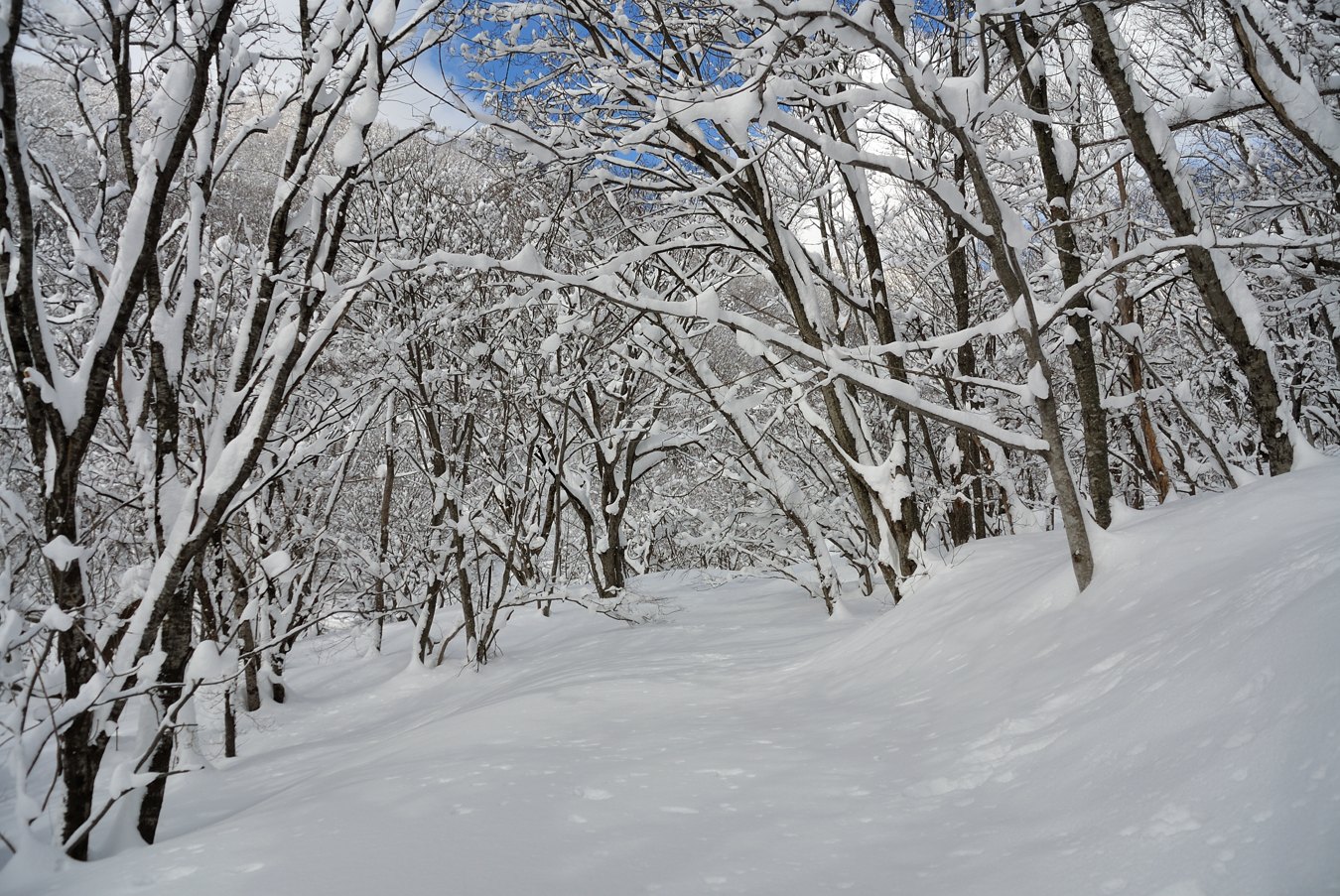 c0138991_22524998.jpg