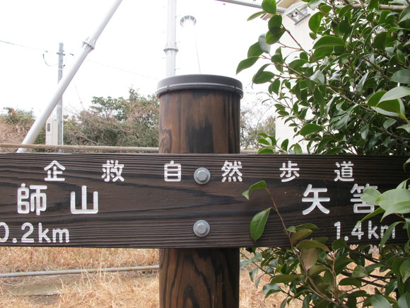a0166196_9594611.jpg