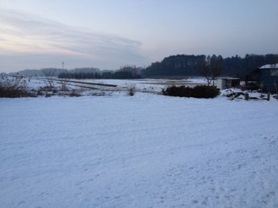 a0111597_14263331.jpg