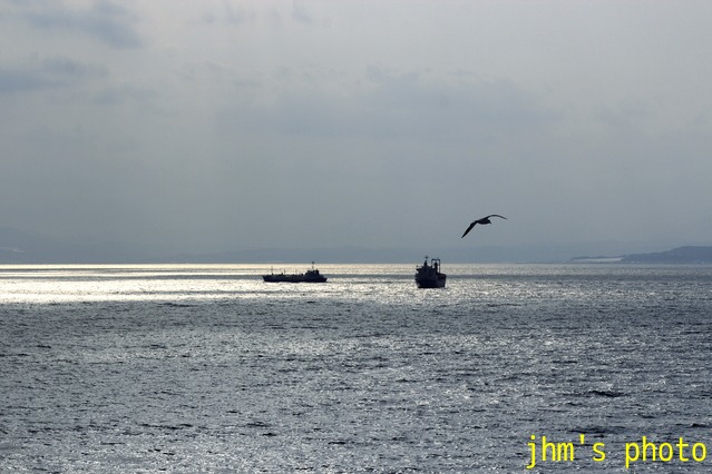 穏やかに、ただ穏やかに、函館海風景_a0158797_2332335.jpg