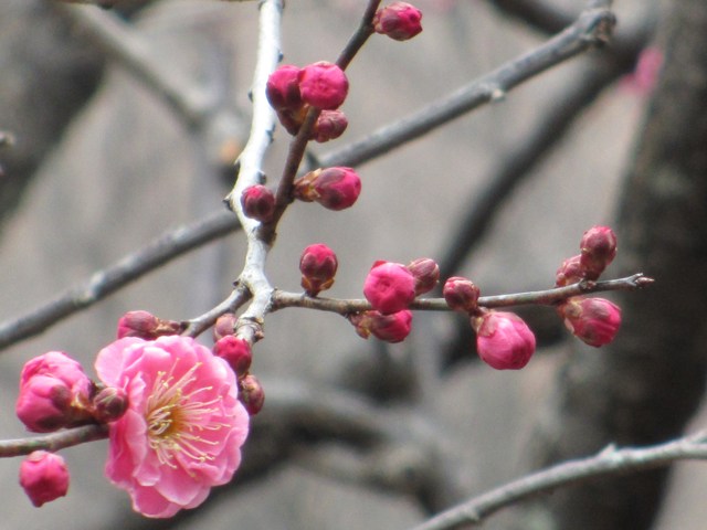 b0173802_2245587.jpg