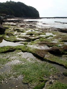 f0165225_111127.jpg