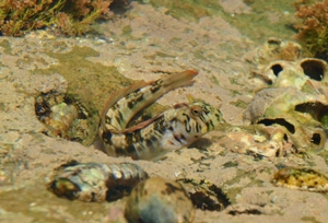 f0165225_1124330.jpg