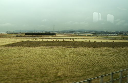 b0010426_15571321.jpg