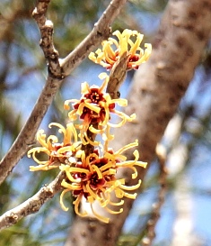 c0204740_18464773.jpg