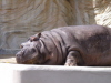 c0205840_14541018.jpg