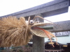 c0205840_1532944.jpg