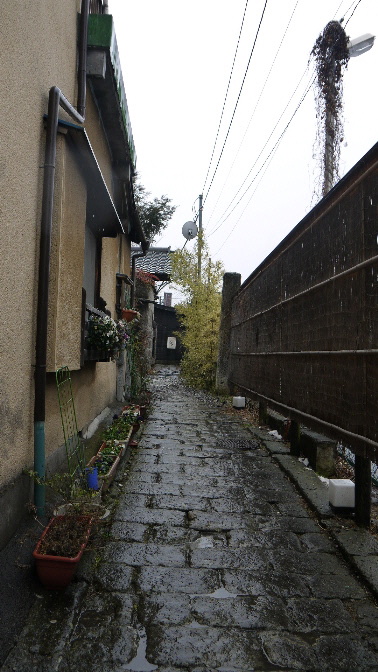 門道(MONDO)_e0227942_18491557.jpg