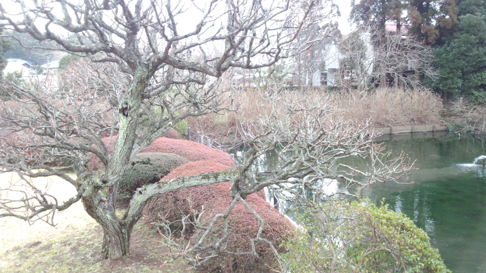 3月お休みのお知らせ_a0217348_113588.jpg