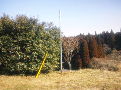 FLC日記 春の息吹_a0254656_8401938.jpg