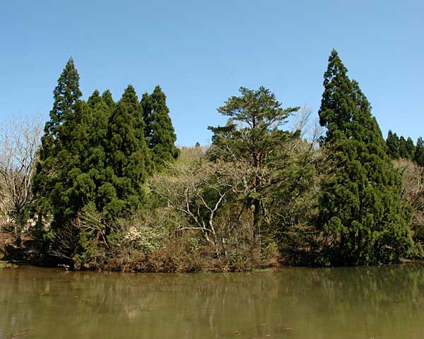 e0035757_17595910.jpg