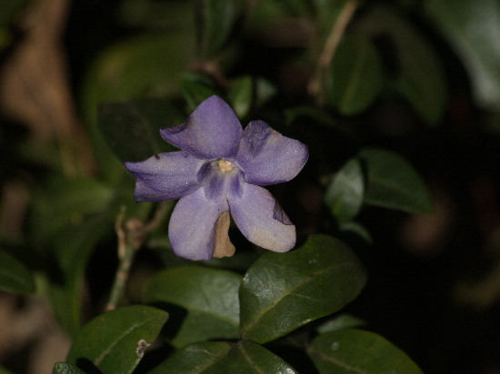 f0208666_1192186.jpg