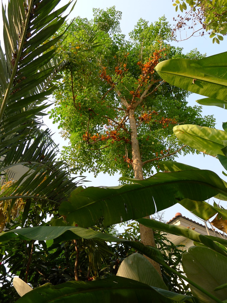 f0178278_11281578.jpg