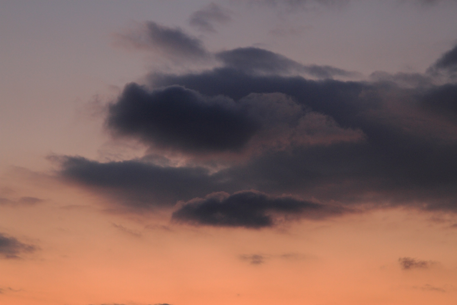 日本画の雲 Mickey S World 日本画の雲 Mickey S World