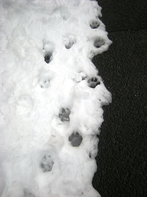 f0063887_23503137.jpg
