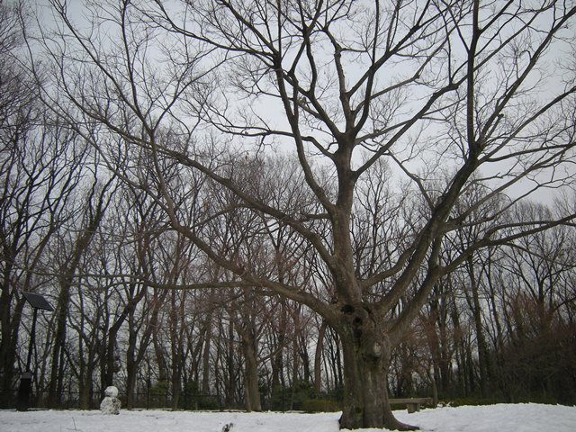 f0063887_2357668.jpg