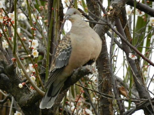 f0216489_13375015.jpg