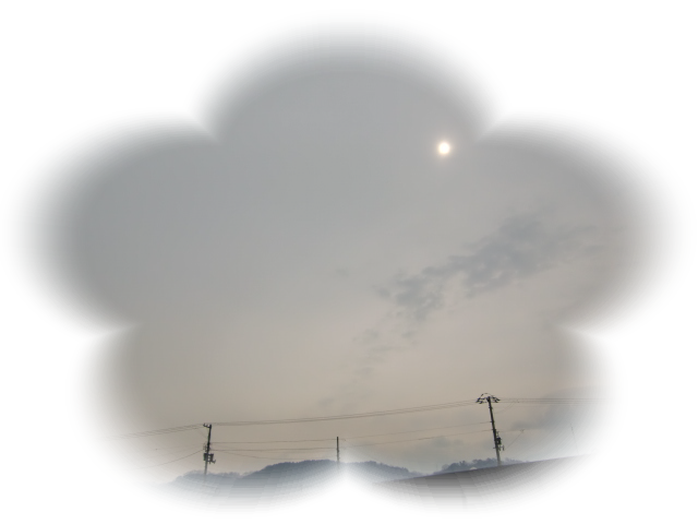 b0232891_10285831.png