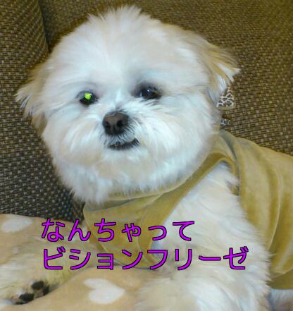 b0237894_981010.jpg