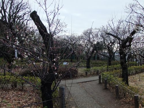 f0120102_981949.jpg