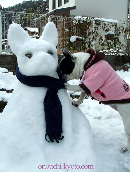 2012年 雪の日と雛祭り_f0184004_12561552.jpg