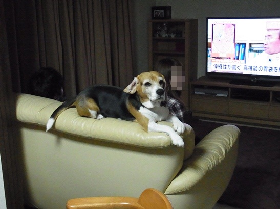 c0205806_2341391.jpg