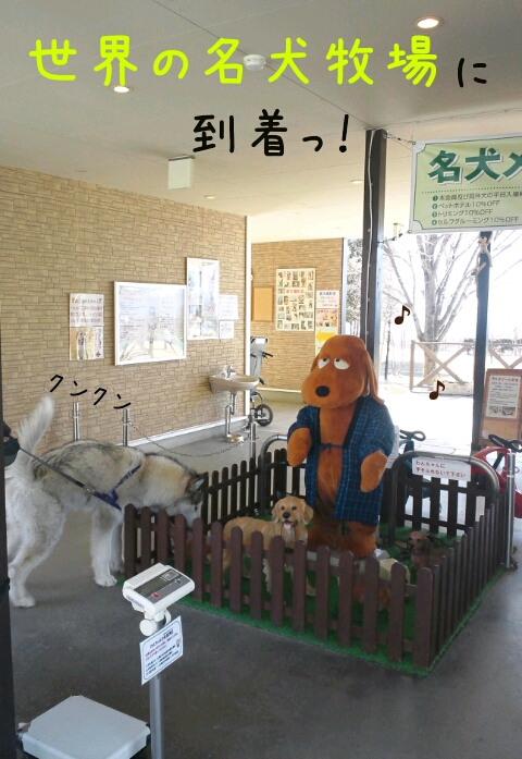 d0241911_2157201.jpg