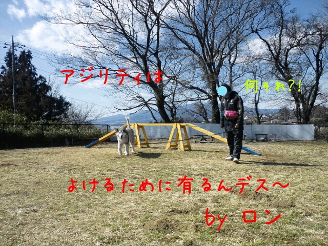 d0241911_22341100.jpg
