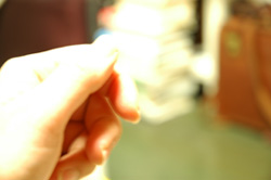 f0000211_12424520.jpg