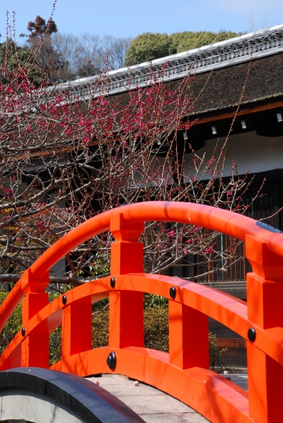 早春　－　京都御苑やら下鴨神社やら_a0114714_2140289.jpg