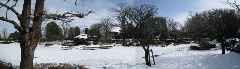e0117318_12562215.jpg