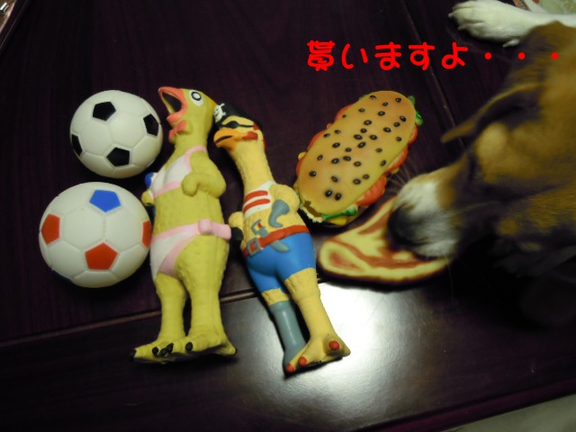 c0166622_15463111.jpg