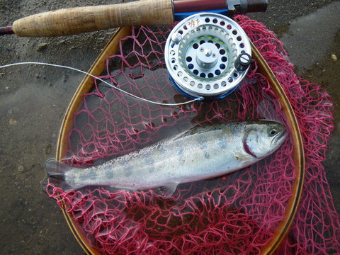 c0202727_937167.jpg