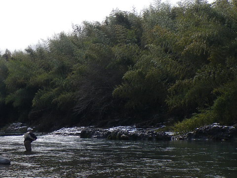c0202727_942596.jpg