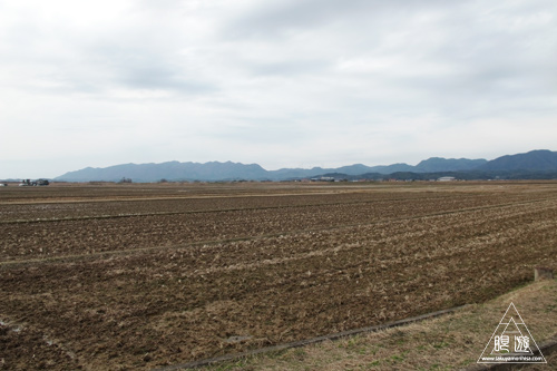 223 宍道湖西岸なぎさ公園 ～初タゲリ～_c0211532_23284940.jpg