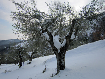 雪のミジャーナ_f0234936_5493584.jpg