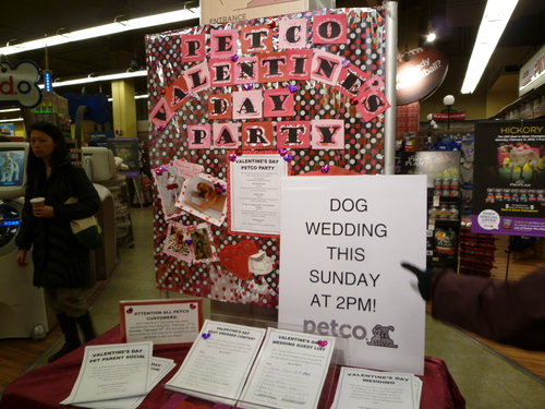 2012 NY!!Westminster Kennel Club Dog Show　No3_e0046444_1481699.jpg